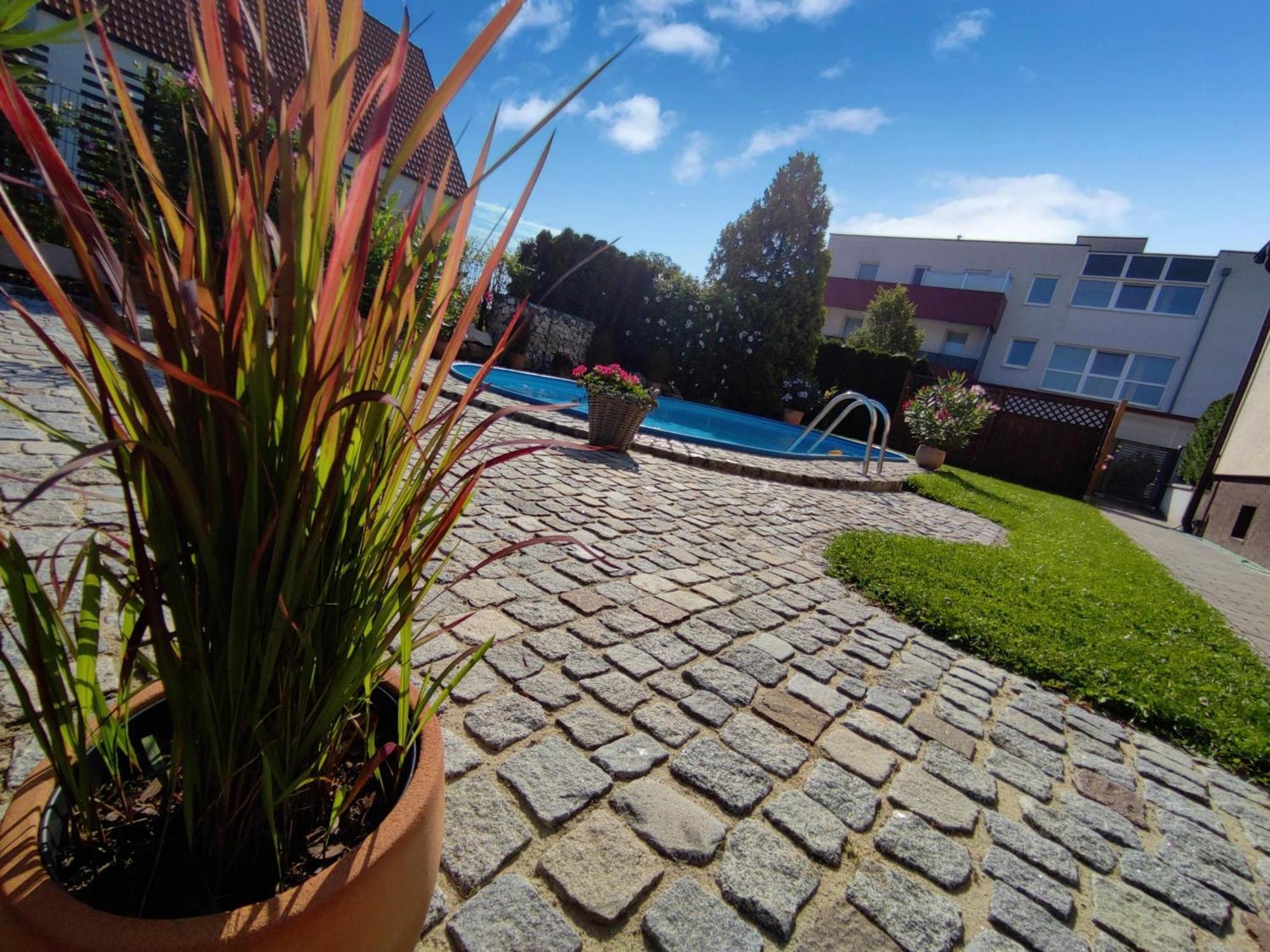 Appartement Ferienhaus Sonnenhain Sollenau Exteriör bild