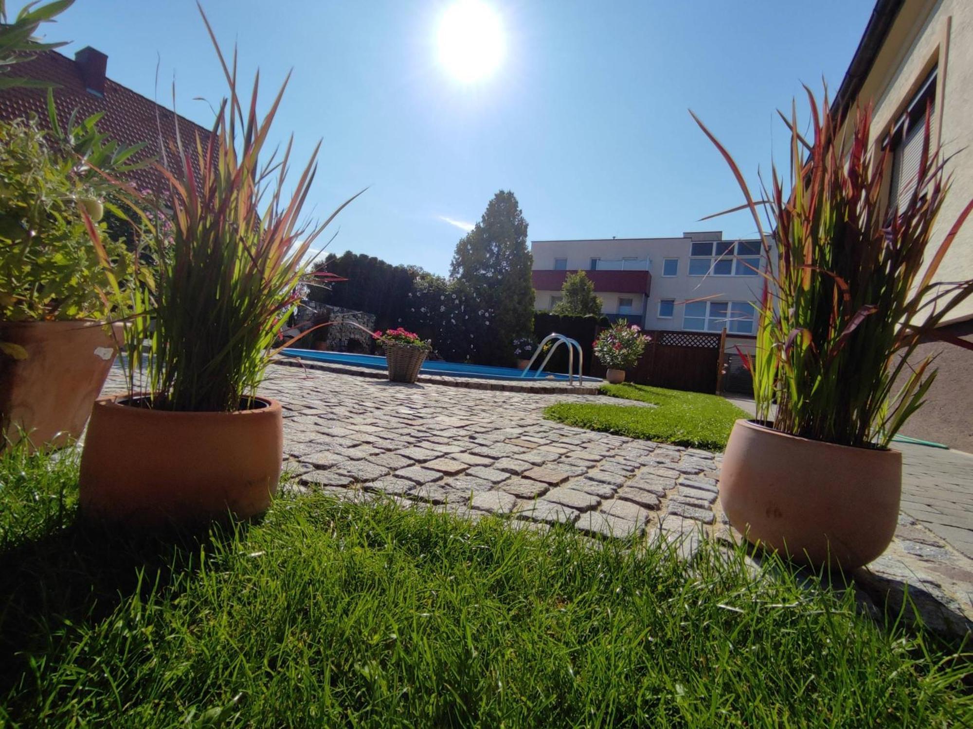 Appartement Ferienhaus Sonnenhain Sollenau Exteriör bild