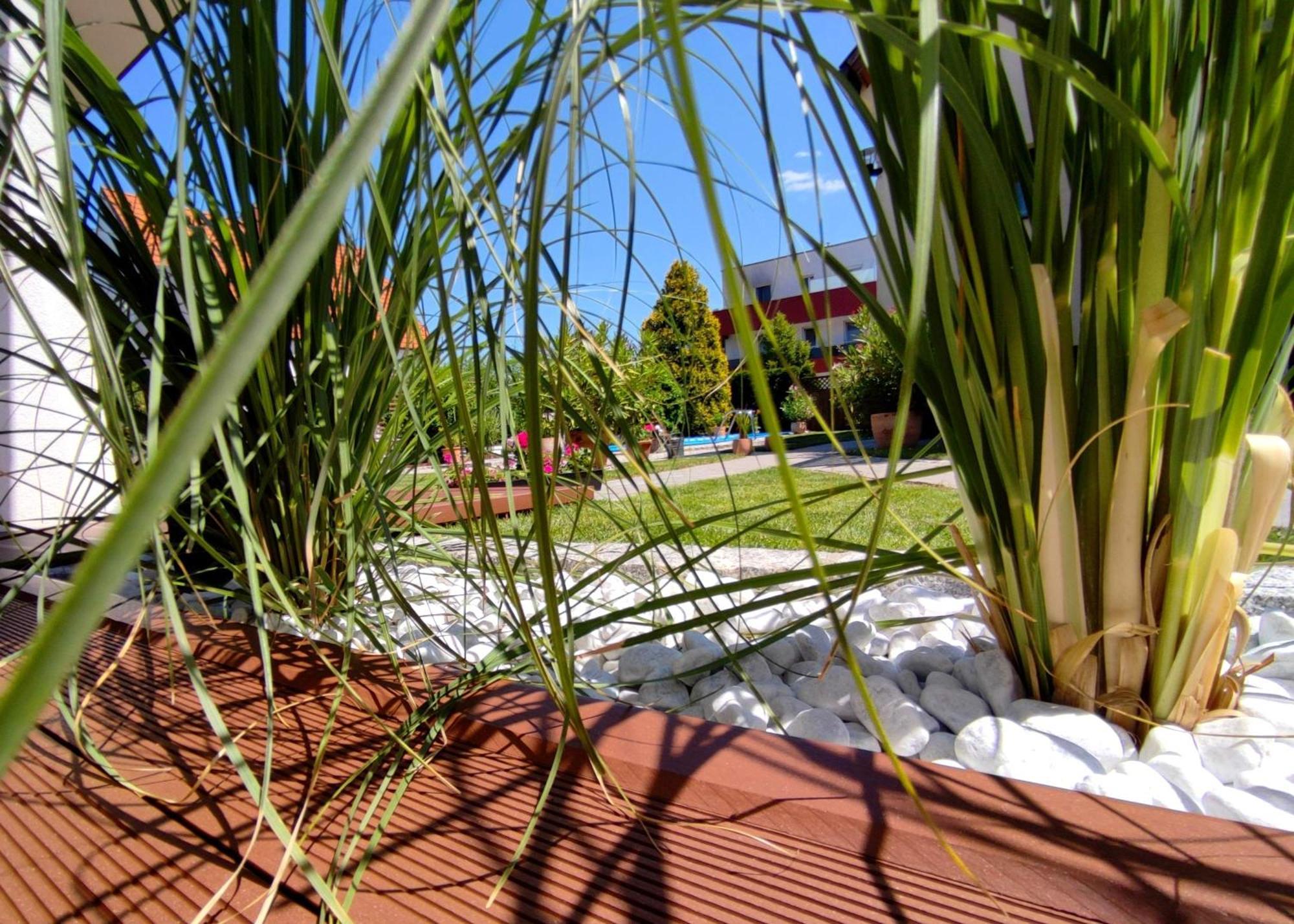 Appartement Ferienhaus Sonnenhain Sollenau Exteriör bild