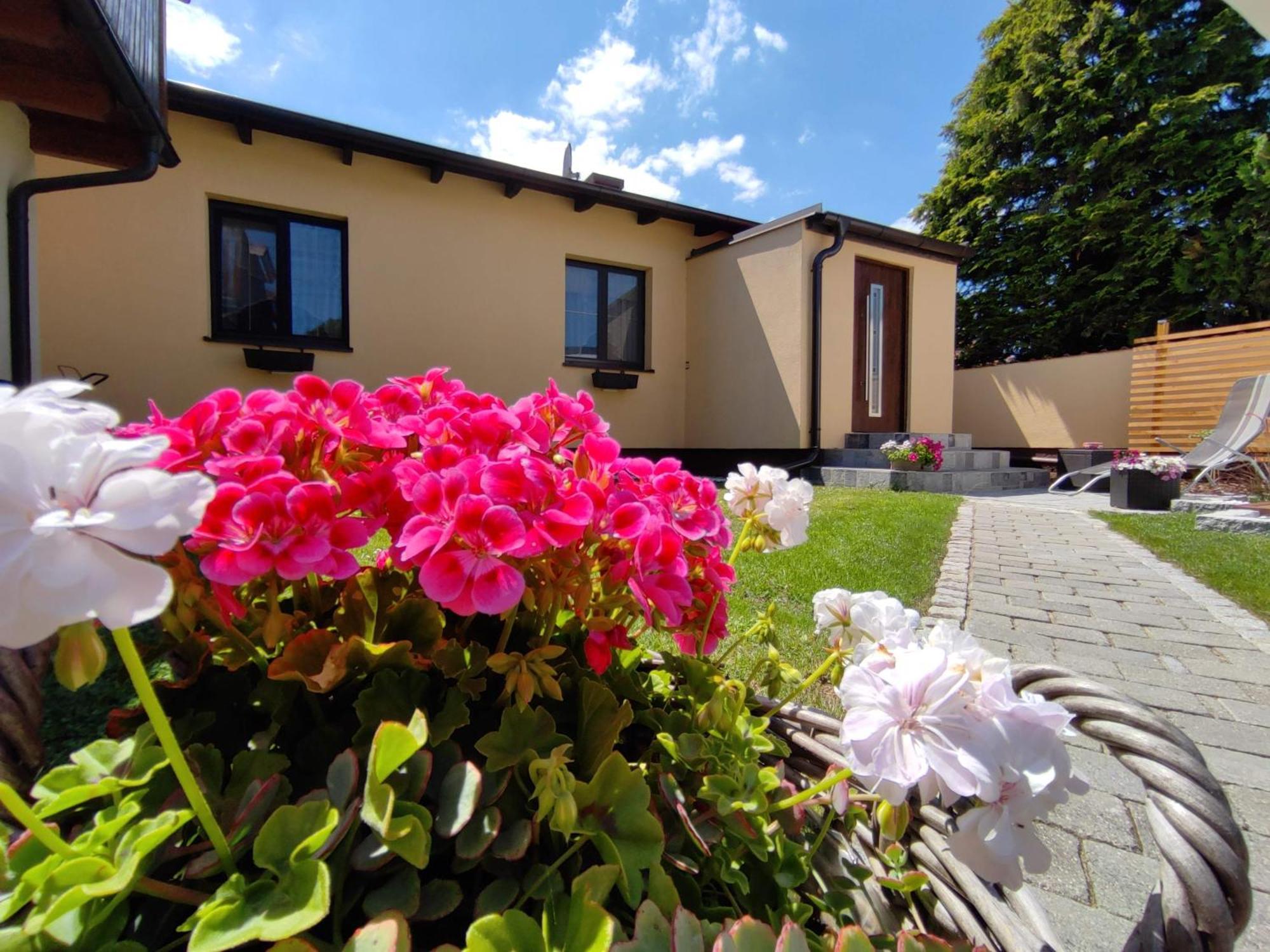 Appartement Ferienhaus Sonnenhain Sollenau Exteriör bild