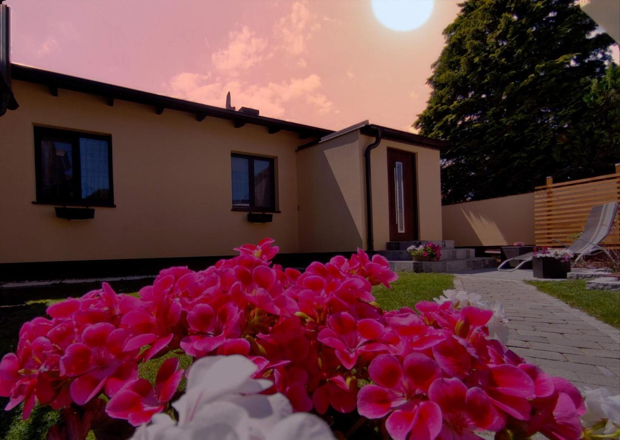 Appartement Ferienhaus Sonnenhain Sollenau Exteriör bild